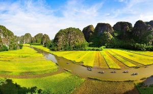 Ninh binh travel guide