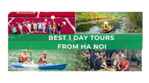 Best 1-day tours from Hanoi featuring lotus fields, a scenic boat ride, and kayaking activities.