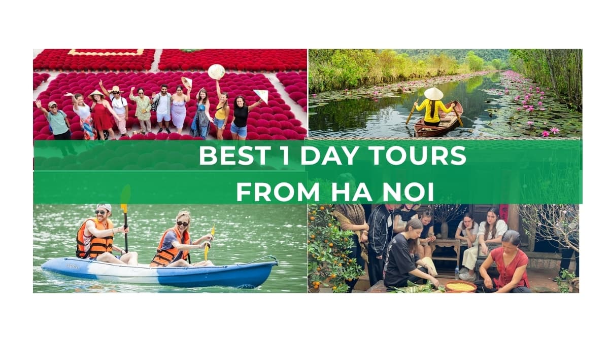 Best 1-day tours from Hanoi featuring lotus fields, a scenic boat ride, and kayaking activities.