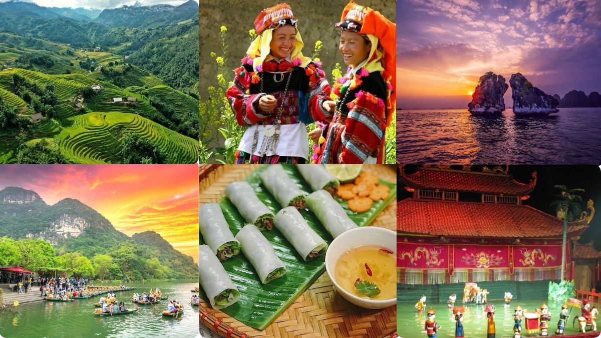 A vibrant collage showcasing four of Northern Vietnam’s top destinations: the terraced rice fields and ethnic minority culture of Sapa, the limestone islands of Ha Long Bay at sunset, the scenic boat ride through Trang An in Ninh Binh, and Hanoi’s famous water puppet show. The image also features traditional Vietnamese fresh spring rolls, highlighting the region’s rich culinary heritage.