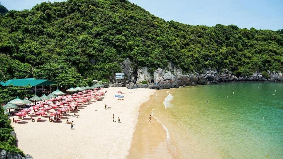 Cat Co Beach on Cat Ba Island features soft white sand, emerald-green water, and lush limestone hills, creating a peaceful coastal escape in northern Vietnam.