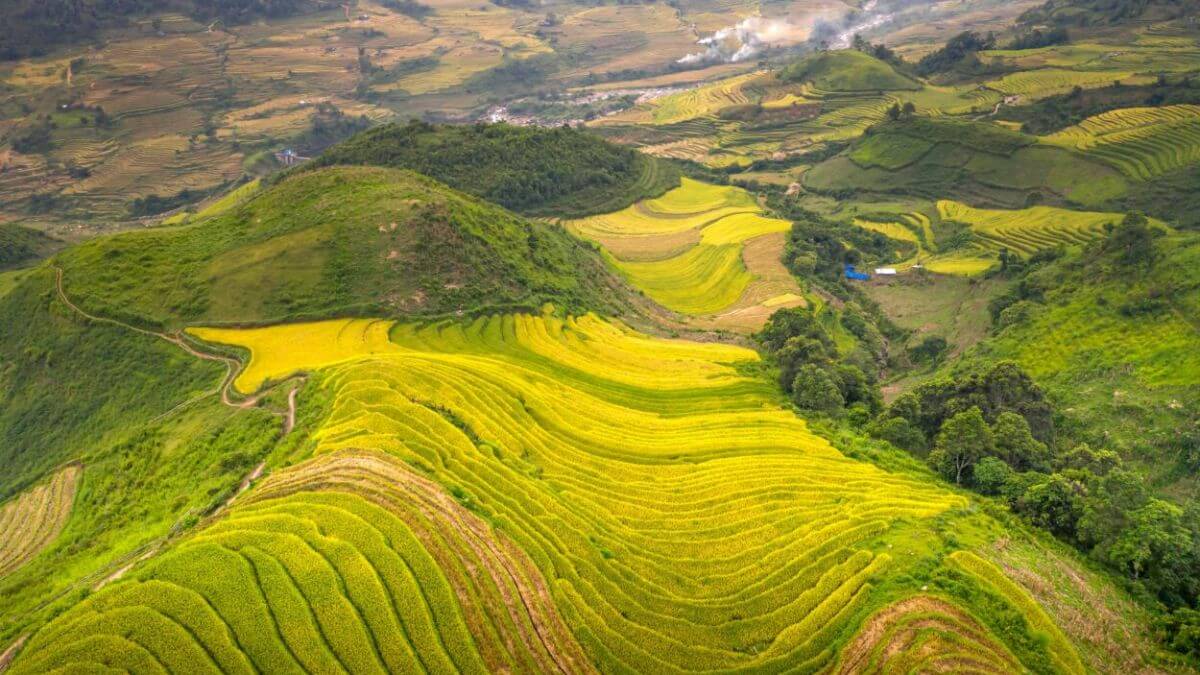 Lush green terraced rice fields cascade down the mountainsides of Sapa, surrounded by misty peaks and traditional villages in northern Vietnam.