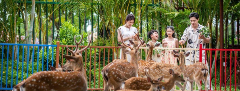 Family exploring Hoi An River Safari, a nature and animal experience for kids in Vietnam