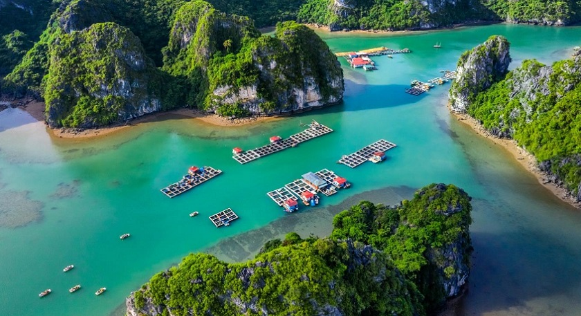 Aerial view of emerald waters winding between lush limestone islands with floating fish farms and small boats in Bai Tu Long Bay, Vietnam.
