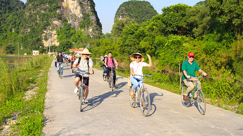 Tourists cycling through green rice fields in Ninh Binh, Vietnam.