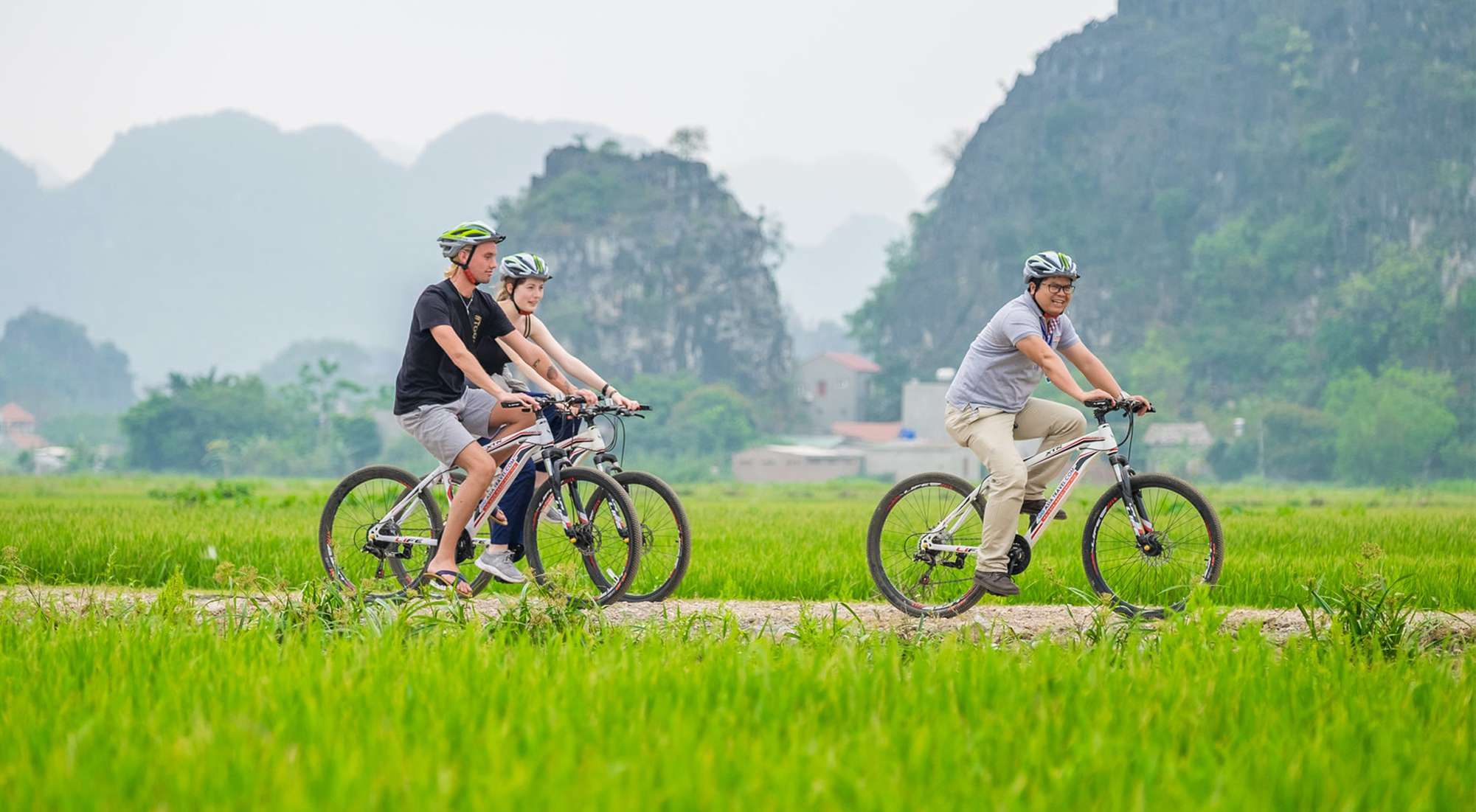 Tourists cycling through green rice fields in Ninh Binh, Vietnam.