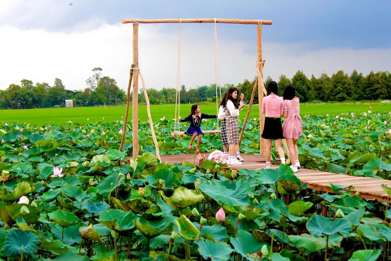Visitors enjoying a wooden swing in the middle of a blooming lotus field at Dong Sen Thap Muoi in the Mekong Delta.