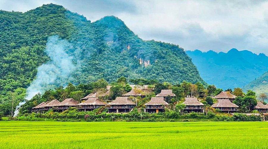 Traditional stilt houses and lush rice fields at Mai Chau Ecolodge surrounded by green mountains in northern Vietnam.