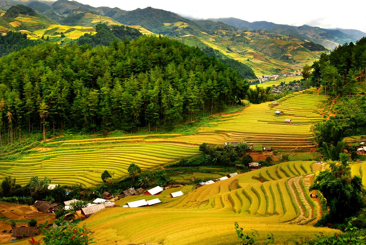 Beautiful green terraced rice fields and mountain landscapes in Mai Chau, northern Vietnam.