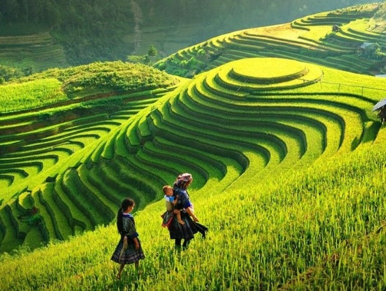 Beautiful terraced rice fields in Ha Giang with local ethnic people walking through the green landscape.