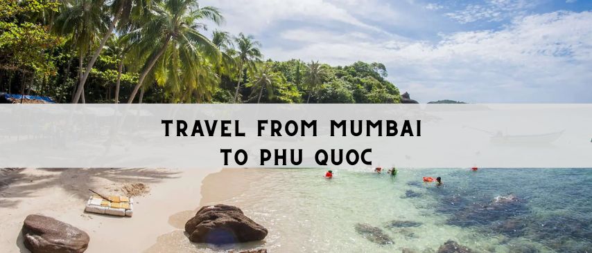 Tropical beach scenery in Phu Quoc with palm trees, clear turquoise water