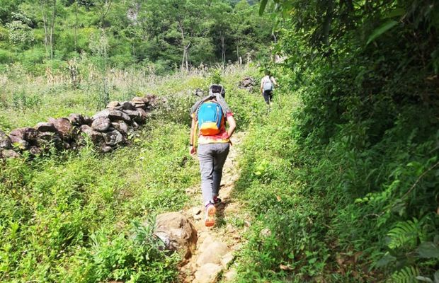 Travelers trekking along a forest trail in Pu Luong surrounded by lush green nature.