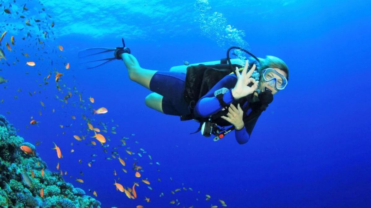Scuba diving at Cham Islands (Cu Lao Cham), Vietnam, with a diver exploring vibrant coral reefs and colorful tropical fish in crystal-clear waters.