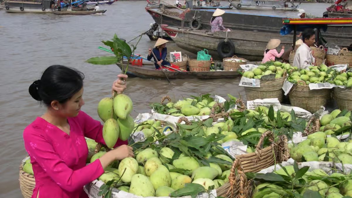 A local vendor selling fresh mangoes from a wooden boat at Cai Rang Floating Market in Can Tho, Vietnam.
